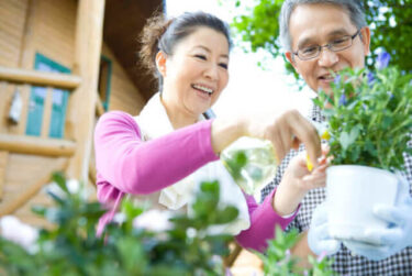 年金生活者がお金を借りる方法は?高齢者だって借りれます!!